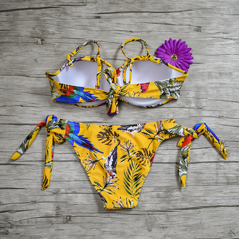 New Bikini Ladies Swimwear Split Swimsuit Sexy