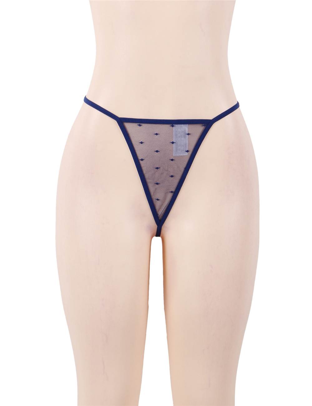 See-through Mesh Garter Lingerie with G String - Blue