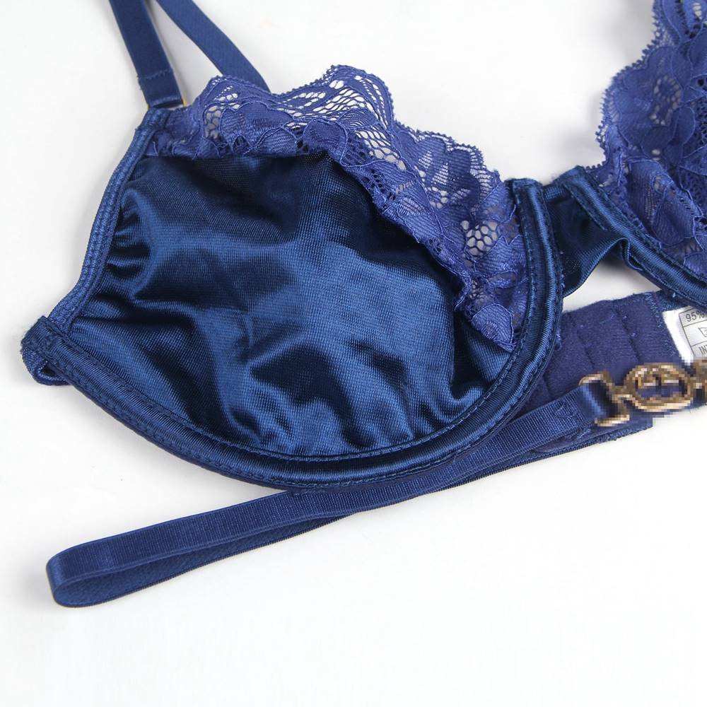 Delicate lace Stitching Bra and Garter Panty Set 2 Colours Plus size